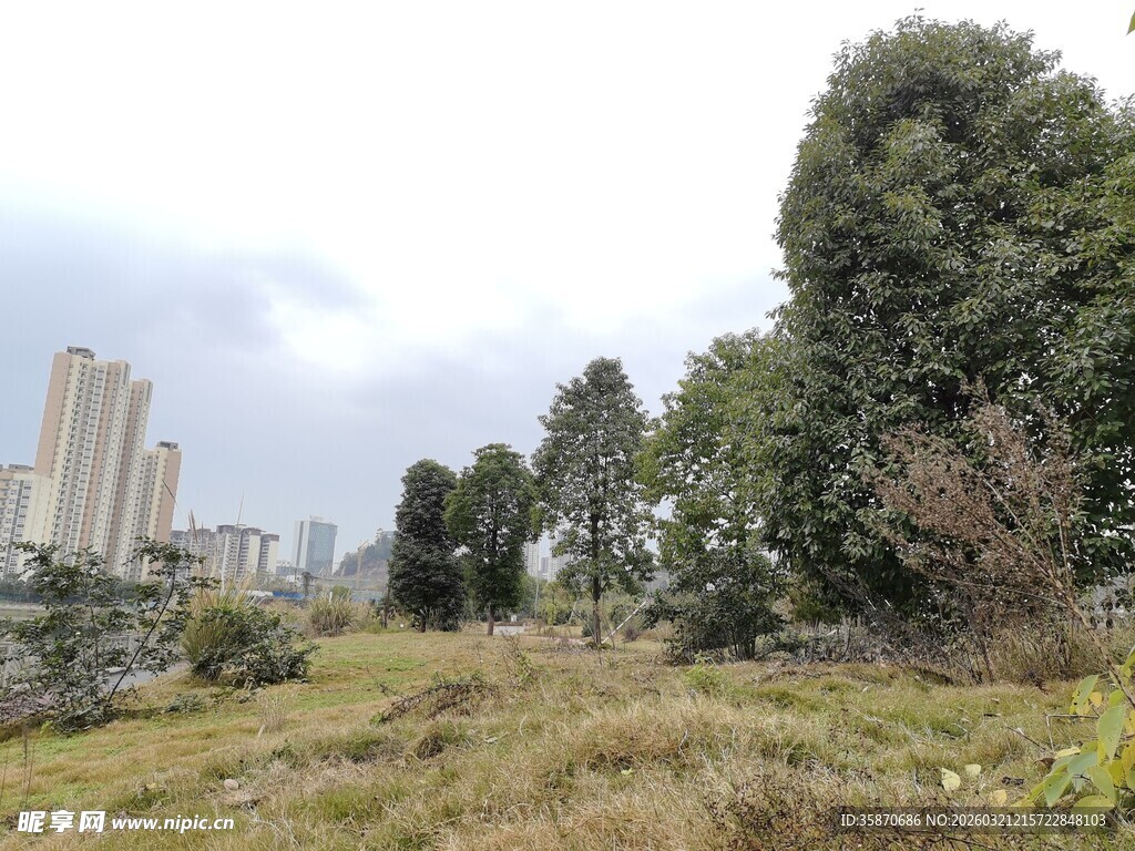 城市边的绿植荒地