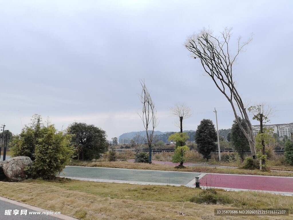 公园多彩步道与树木景观