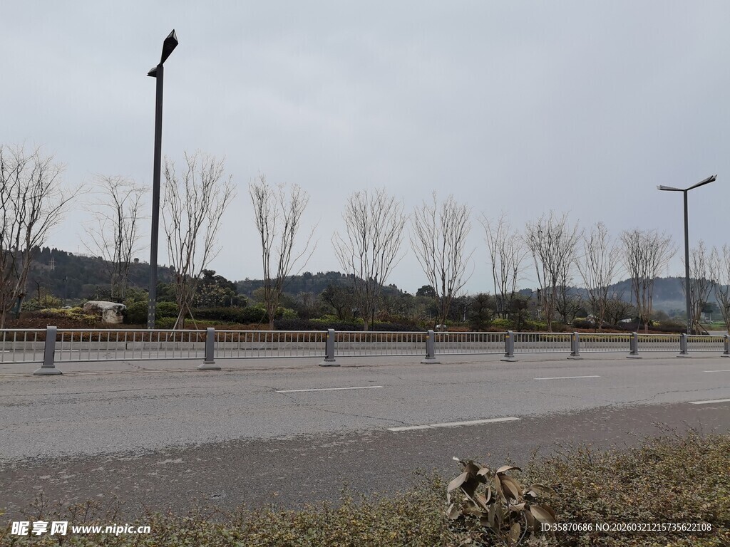 空旷道路旁的萧瑟景象