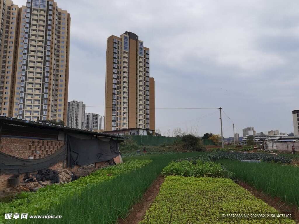 城市旁的田园风光