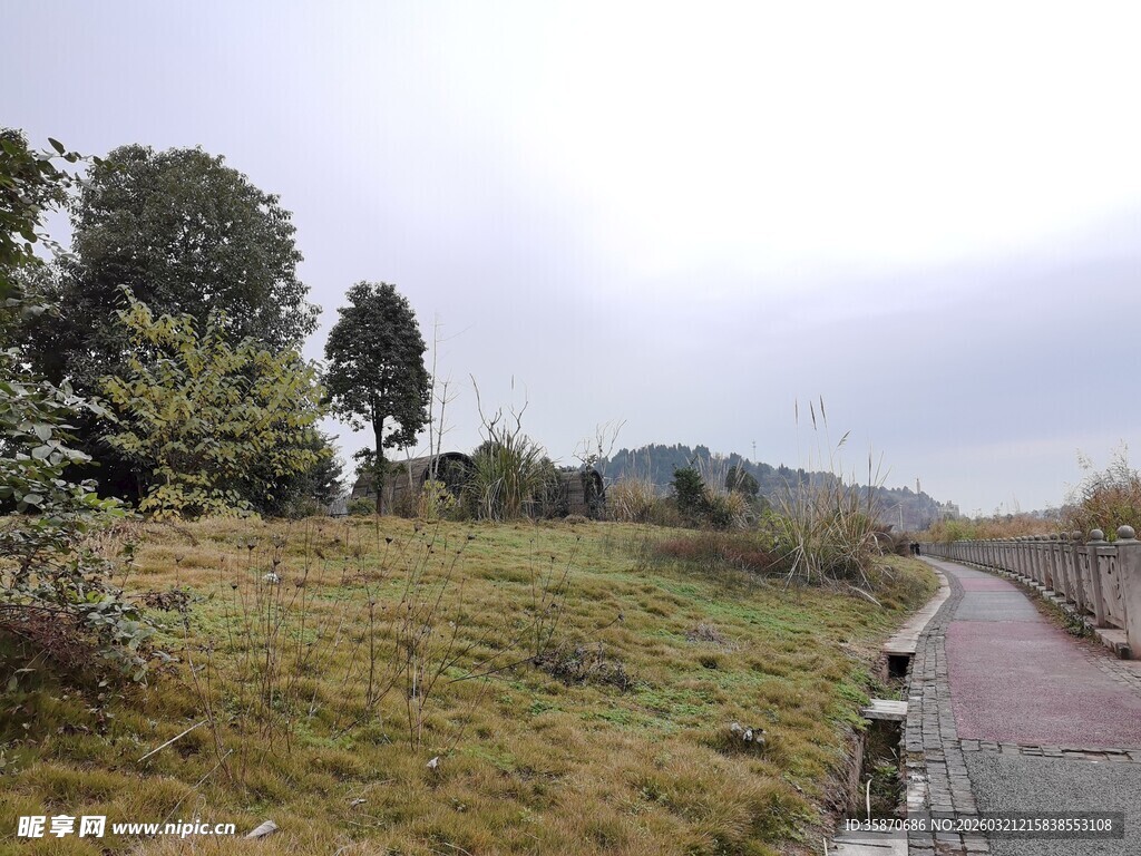 郊外小路旁的自然景致