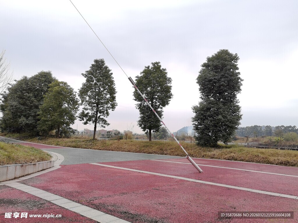 红色路面与路旁树木景观