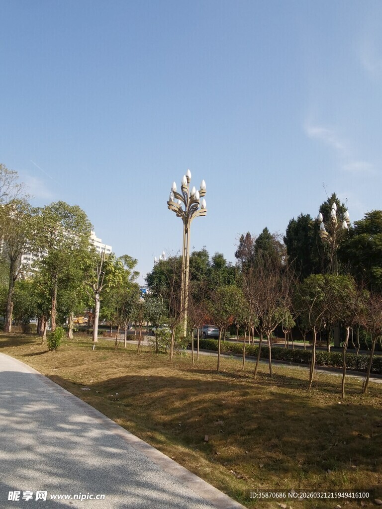 公园中的树木与休闲步道