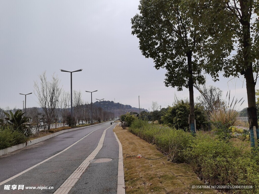 空旷道路旁的绿植风景