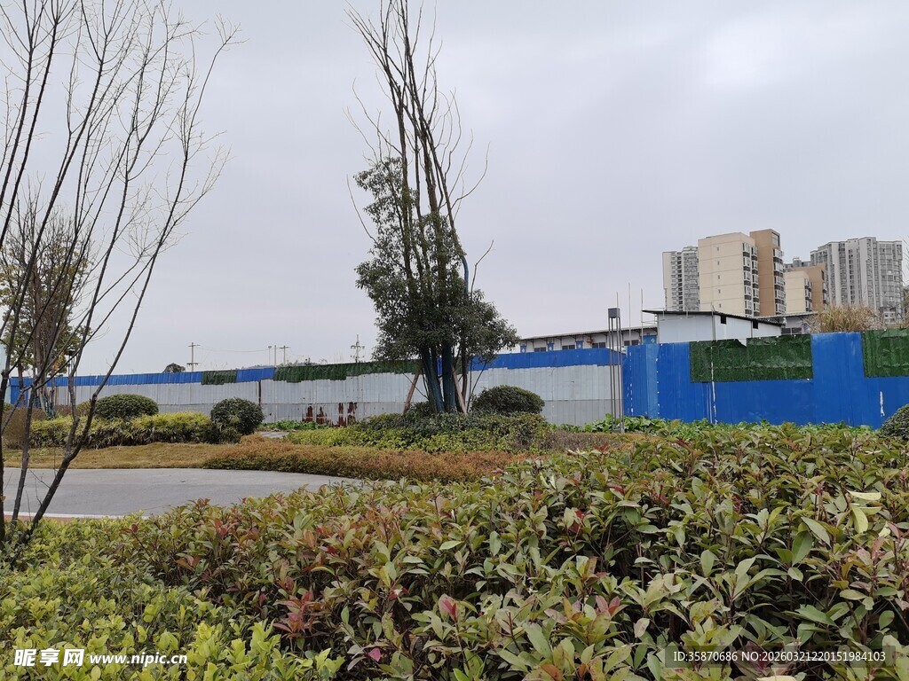 户外蓝墙绿植景观