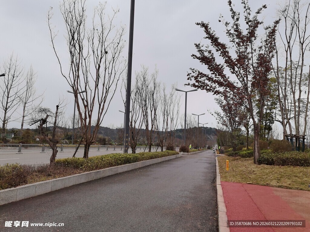 城郊宁静道路景观