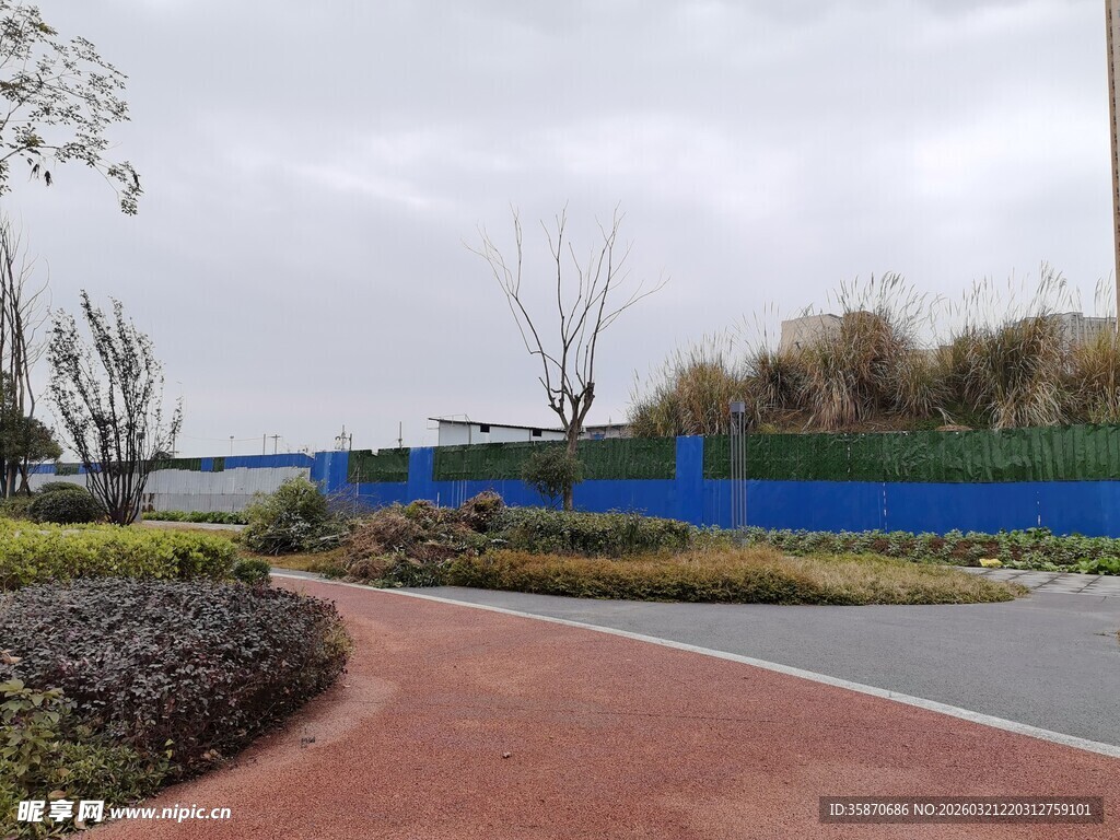 户外沥青道路与绿化景观