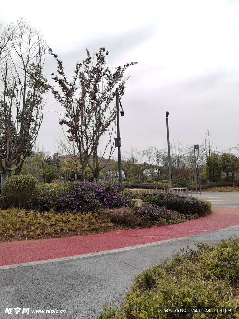 城市公园景观中的植物布置