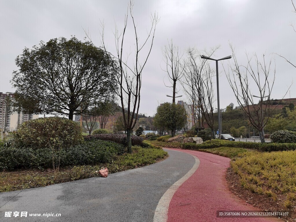 公园蜿蜒彩色步道风景