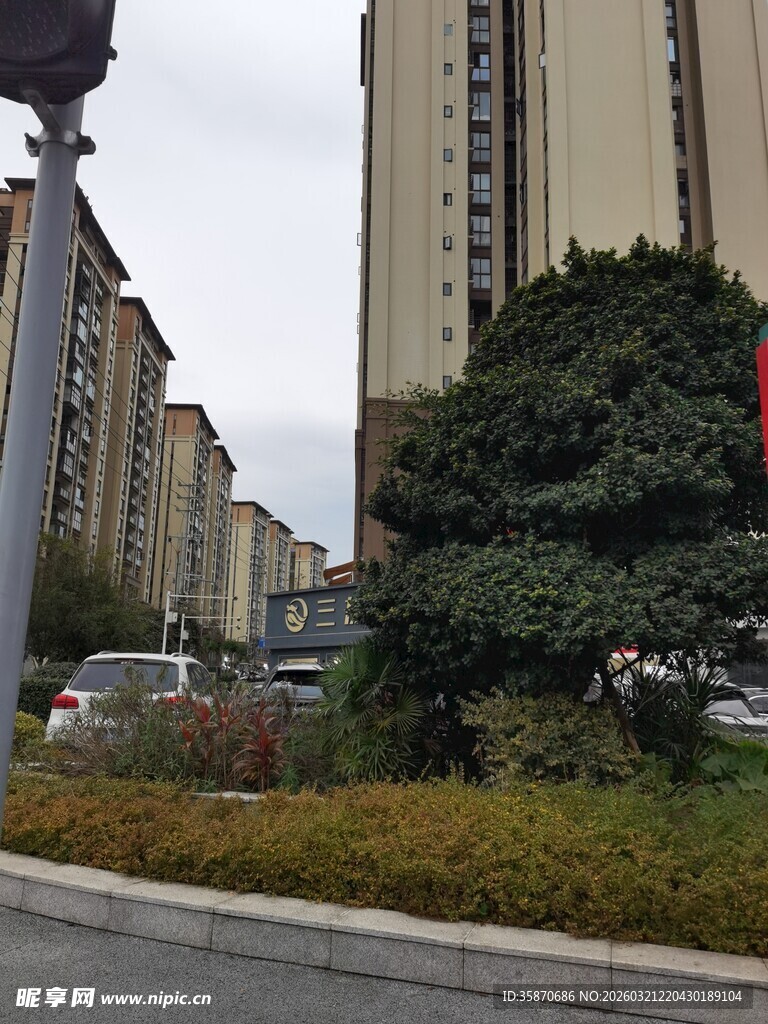 城市街角绿植与高楼景观