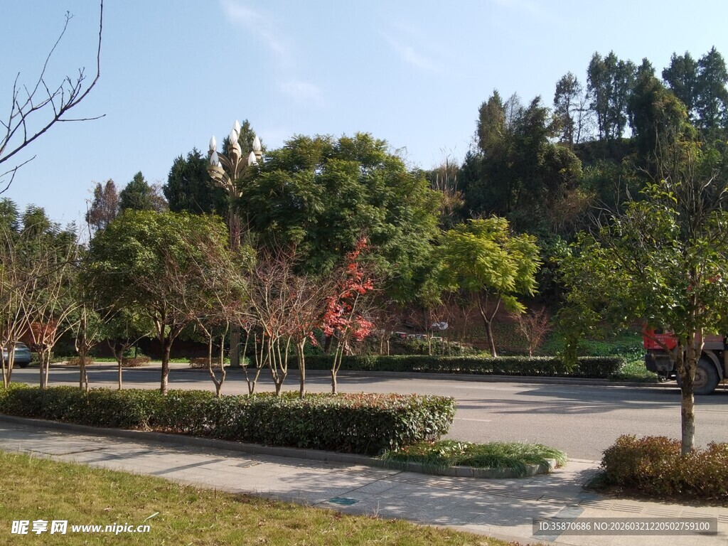 宁静校园户外风景