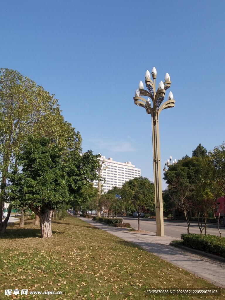 公园中的独特造型路灯与周边绿植