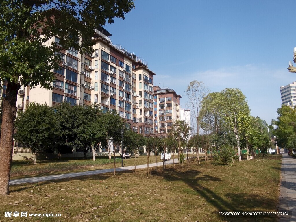 小区户外绿化景观画面