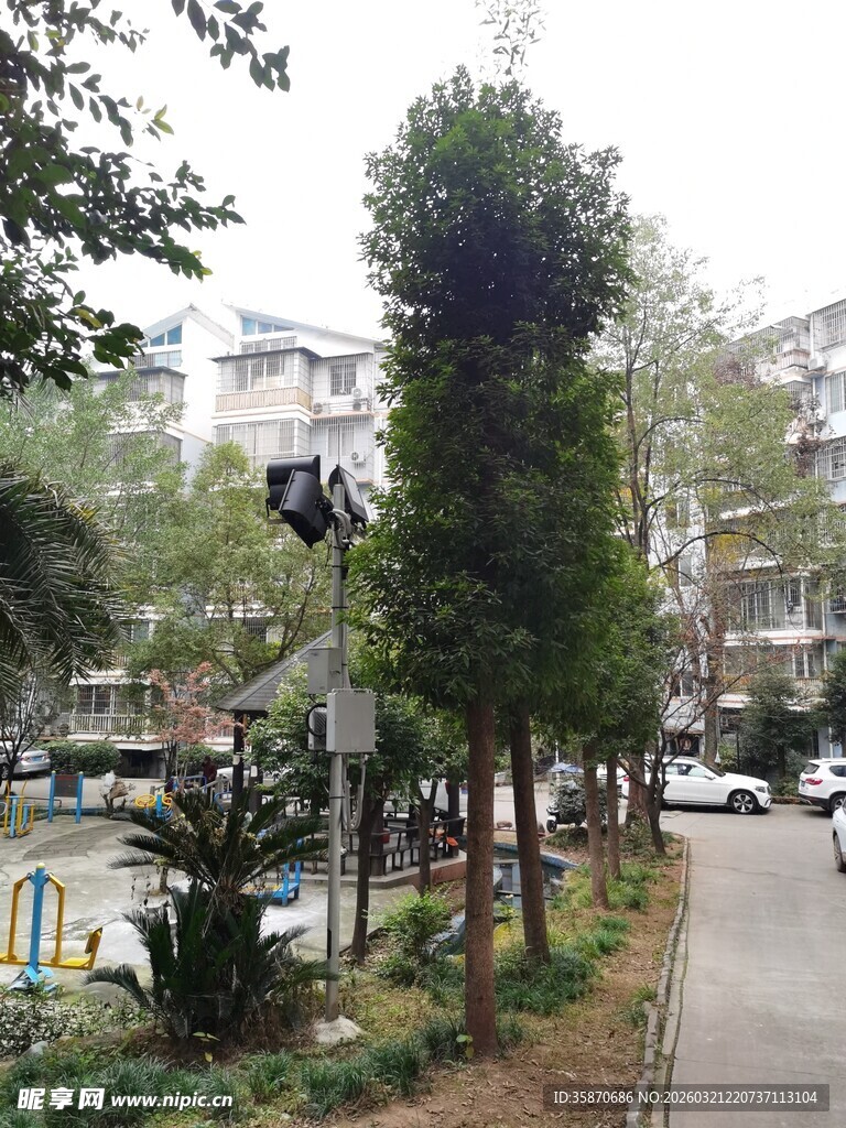 城市街边绿树与休闲设施