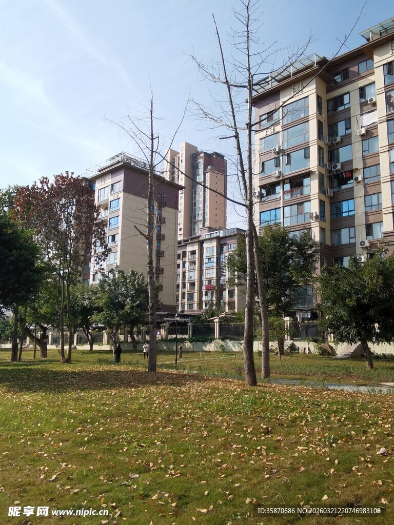 小区绿化与高层住宅景观