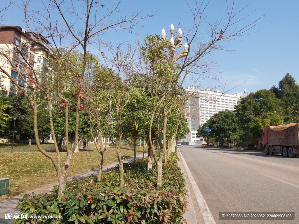 城市道路旁的绿化景观