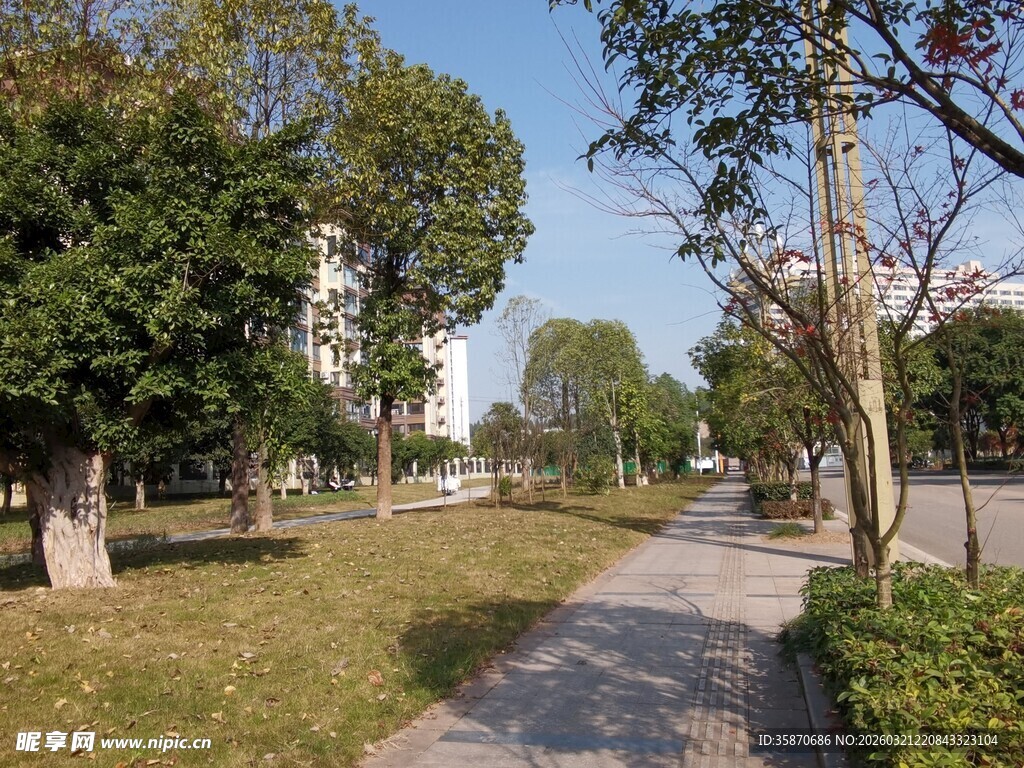 城市中的宁静林荫小道