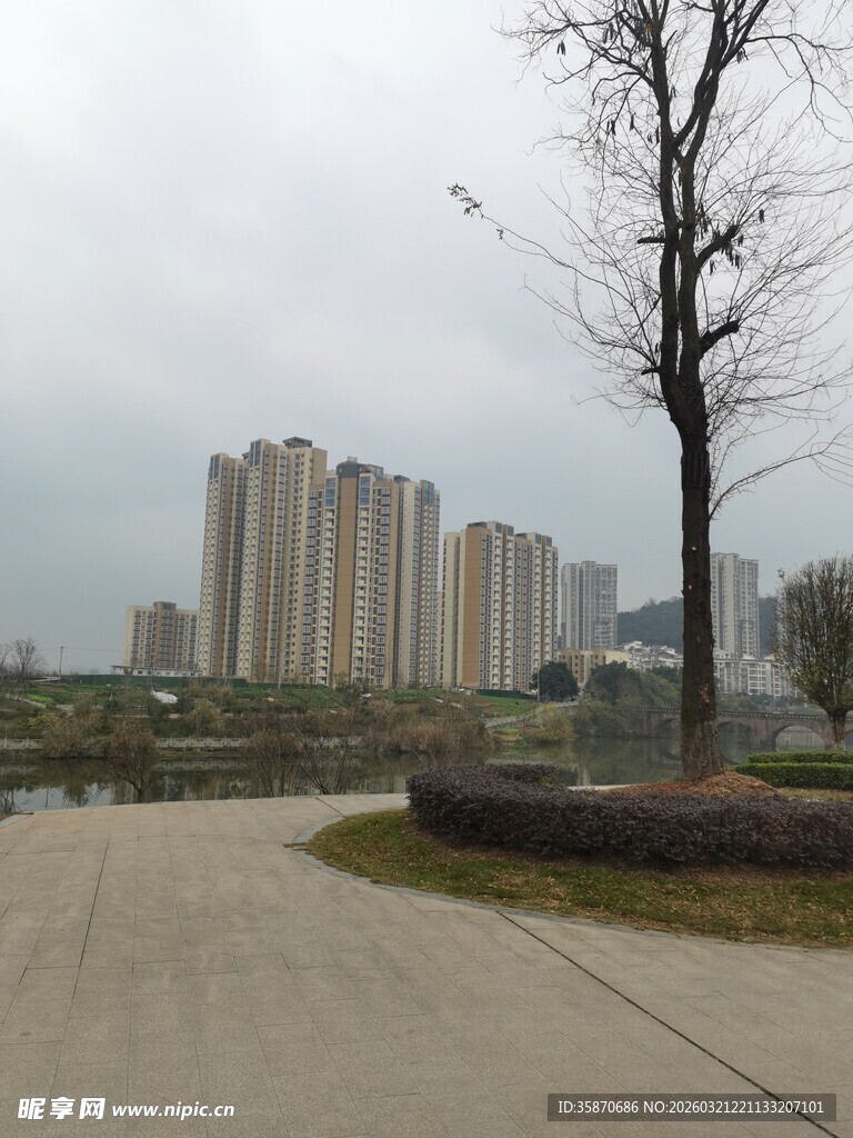 城市道路旁的高楼与孤树