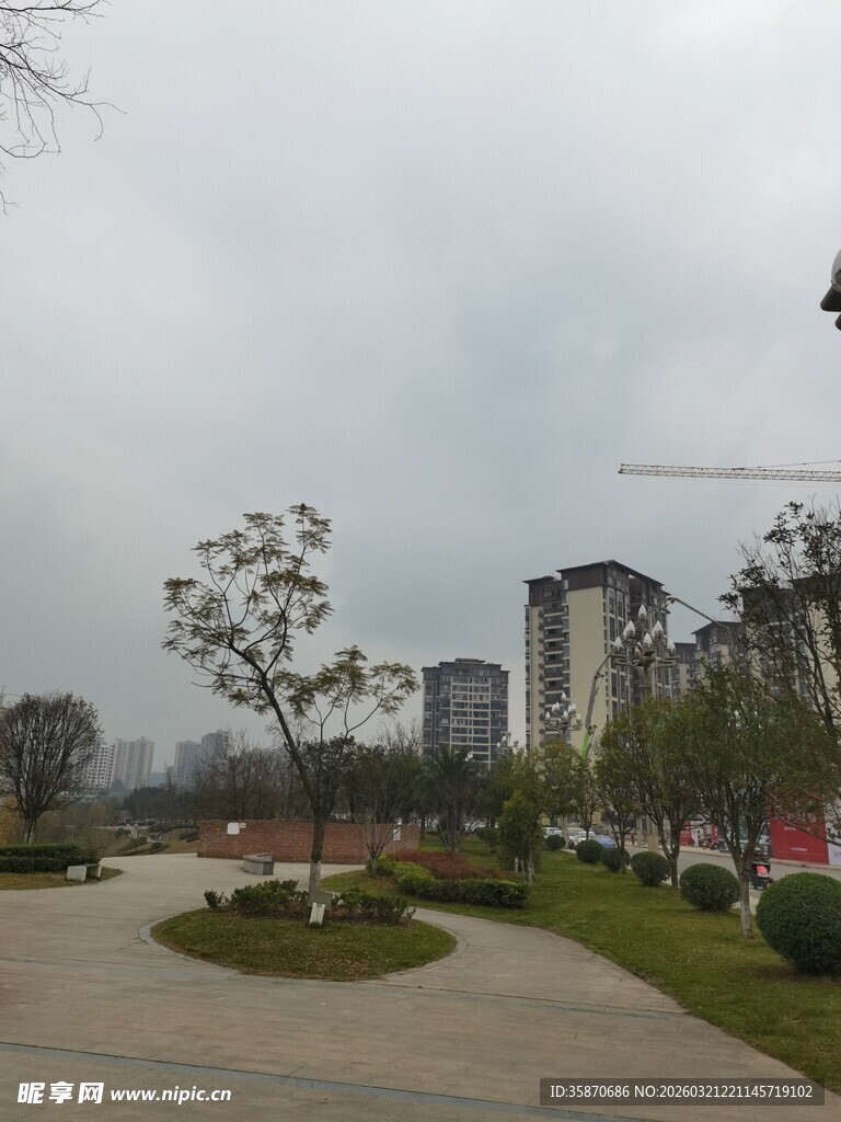 城市街边绿化景观画面