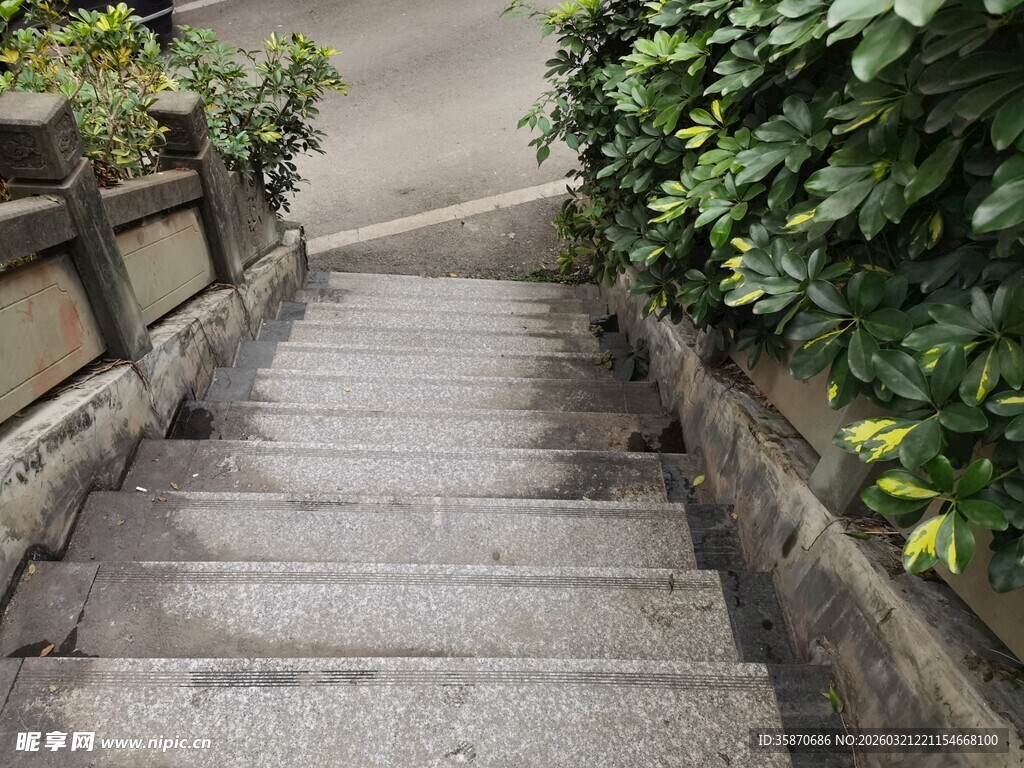 阶梯步道旁绿植相伴