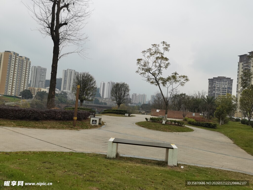 城市公园中的开阔休闲场景