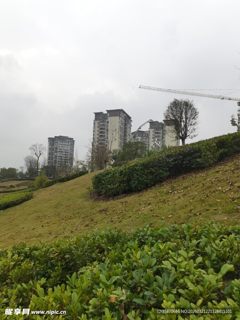 山坡茶园与远处建筑景观