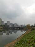 城市河畔风光