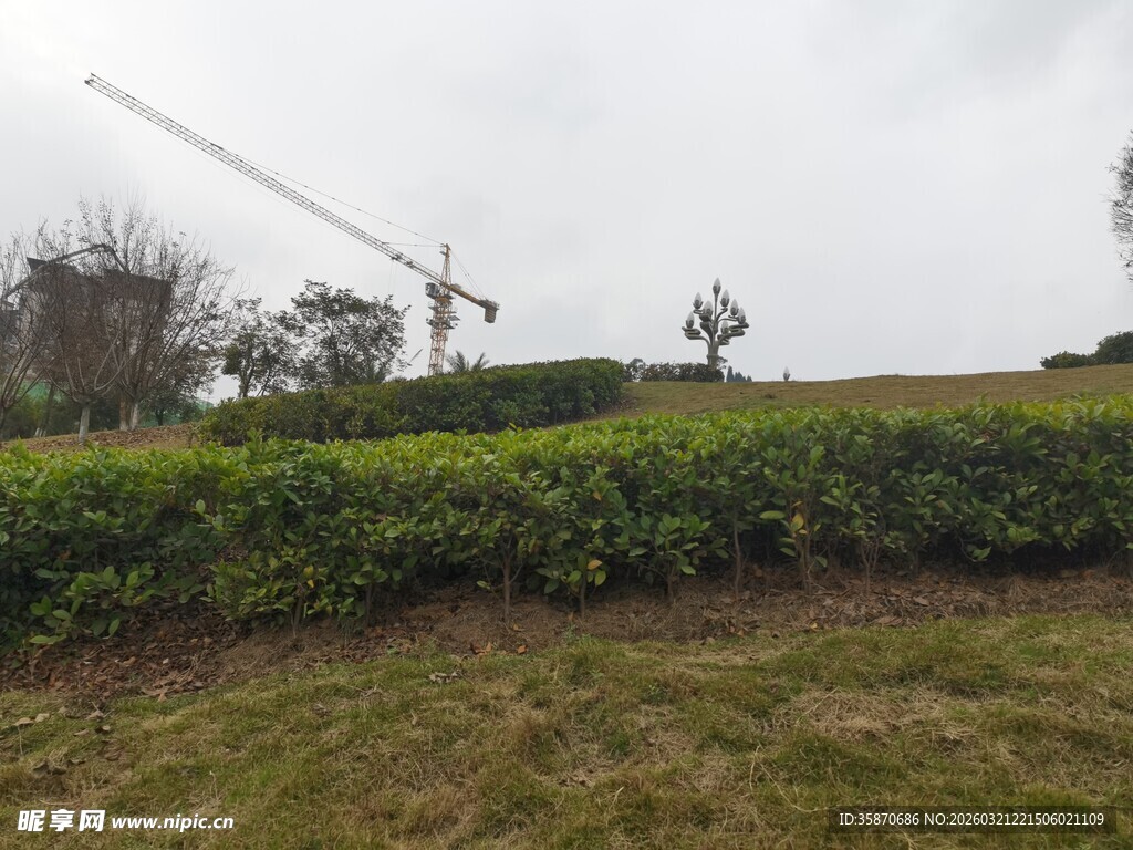 户外茶园与远处起重机