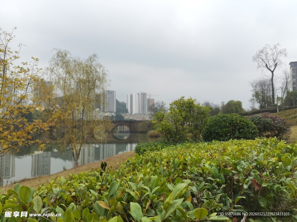 城市边的绿植景观