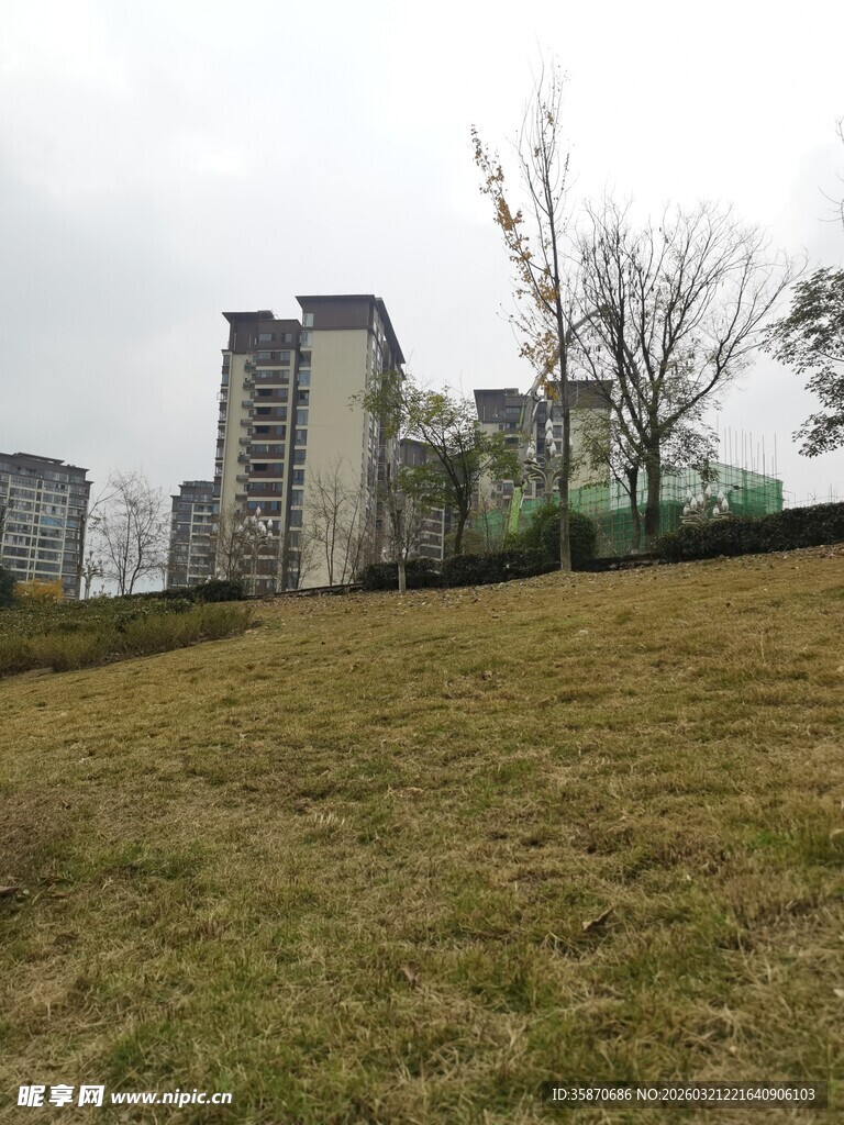 城市草地与远处高楼景观