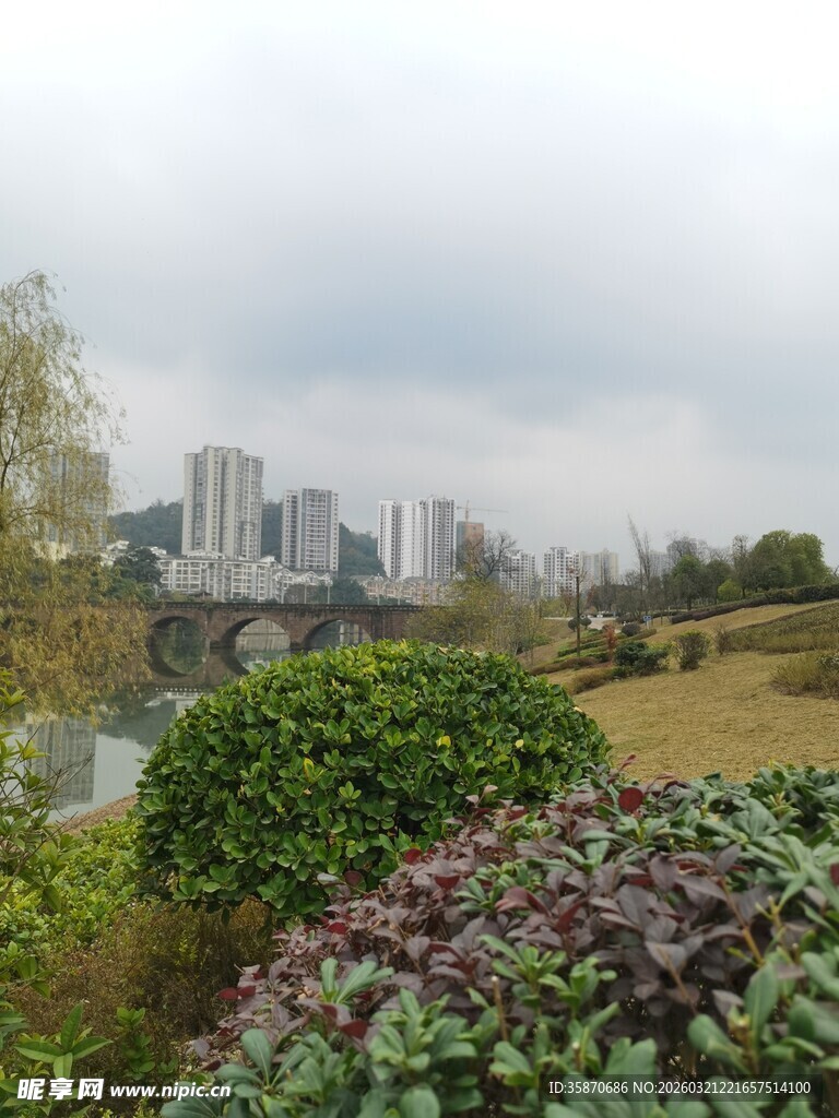 城市边的绿植景观