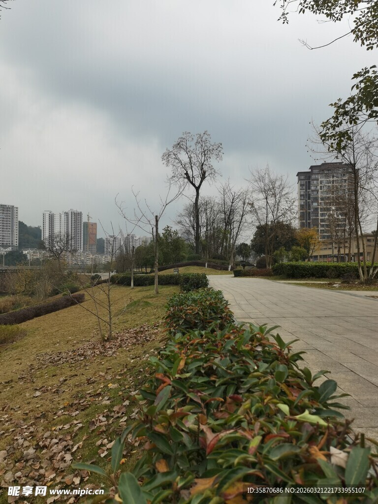 城郊道路旁的绿植与建筑