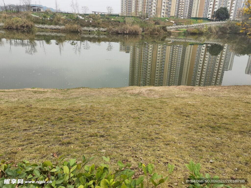 湖畔草地与远处建筑景观