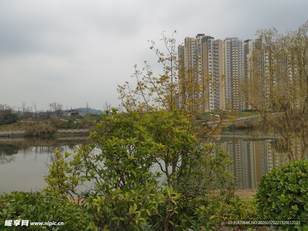 湖畔绿植与远处高楼景观