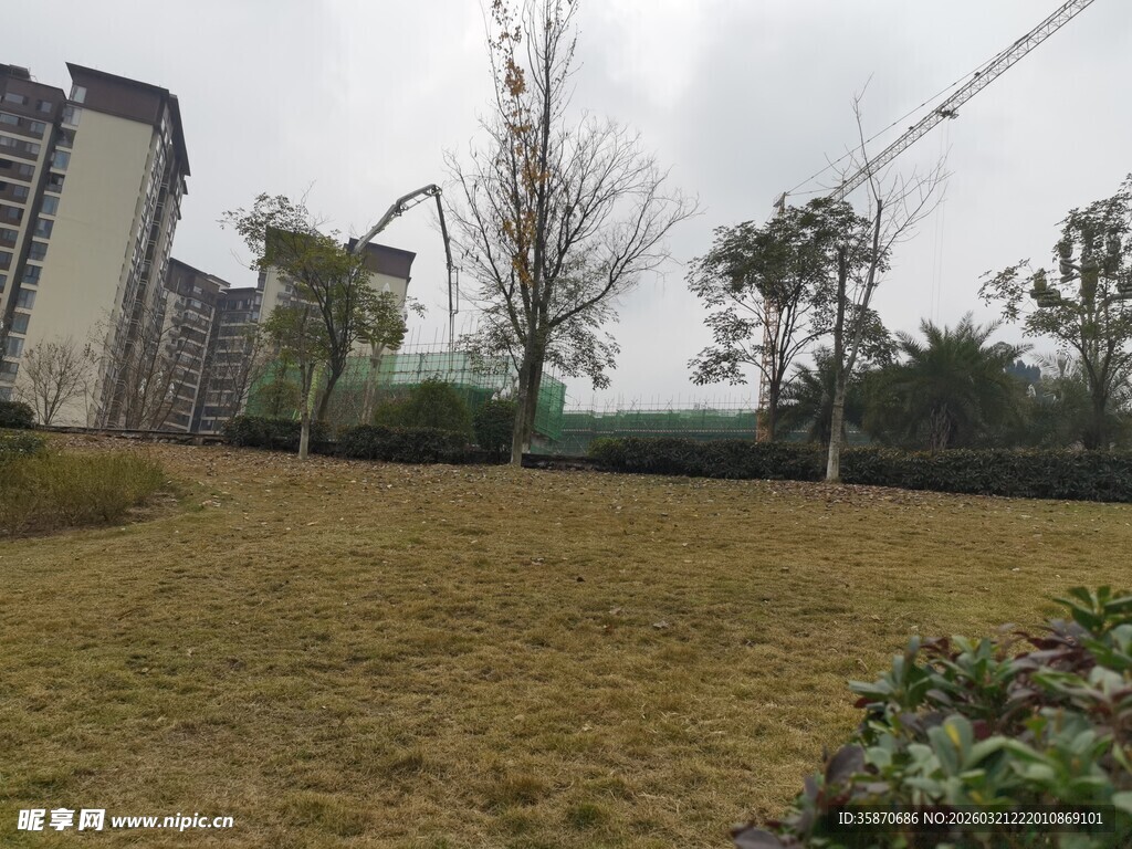 城郊草地与楼房景观