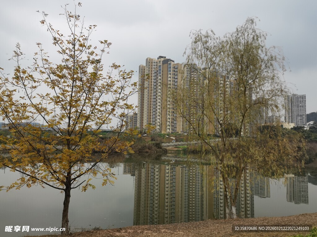 湖畔秋色与高楼倒影
