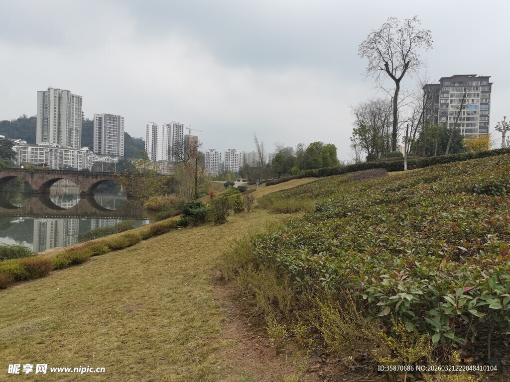 城市边的草地与远处建筑