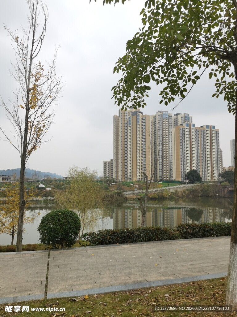 湖畔高楼旁的冬日景致