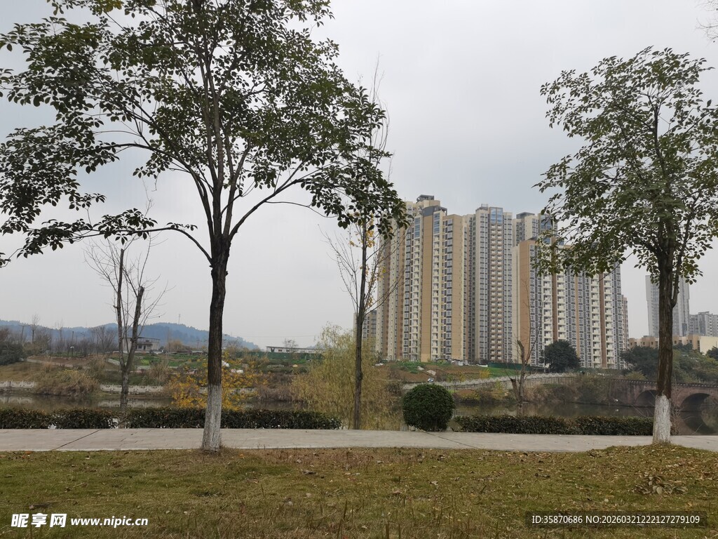 城市户外景观中的树木建筑