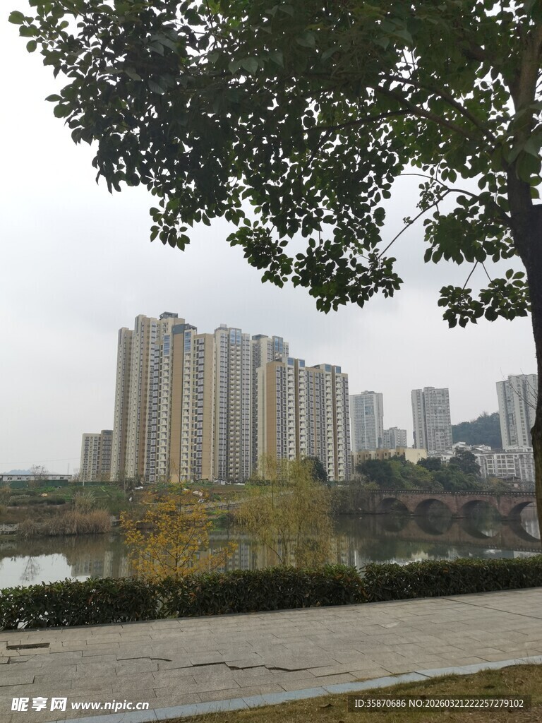 城市河畔高楼与绿树景观