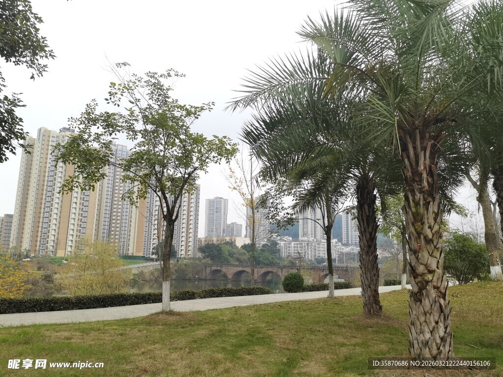 城市公园中的绿植景观