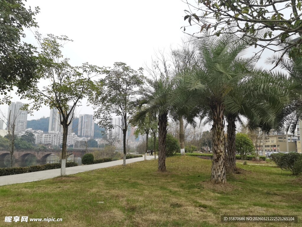 城市公园绿意景观