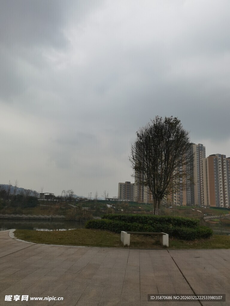 阴天城市广场旁的绿树