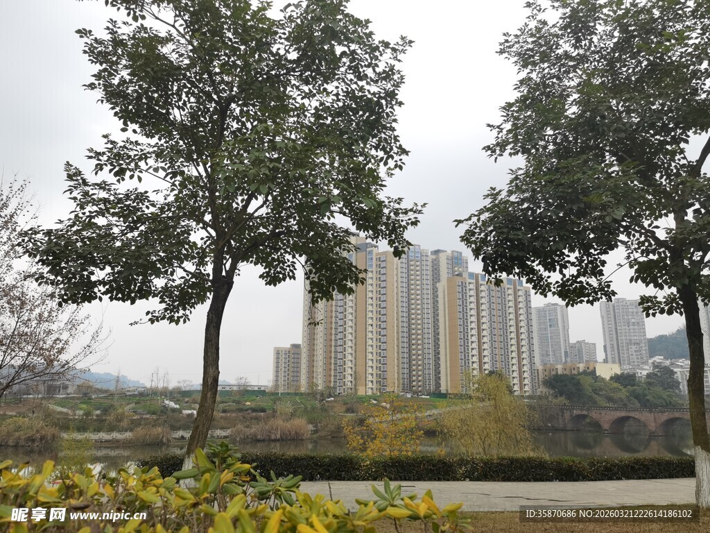 城市公园中的树木与建筑