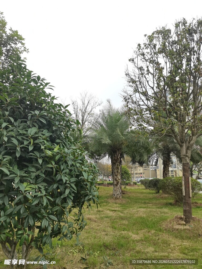 园林绿植景观