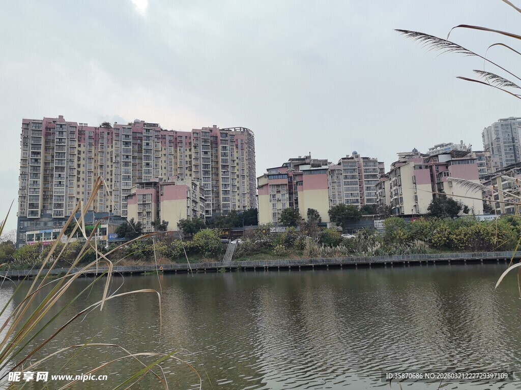 河畔高楼林立的城市景致