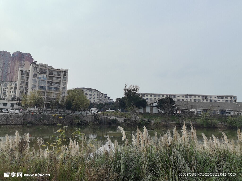 城郊草地旁的建筑群