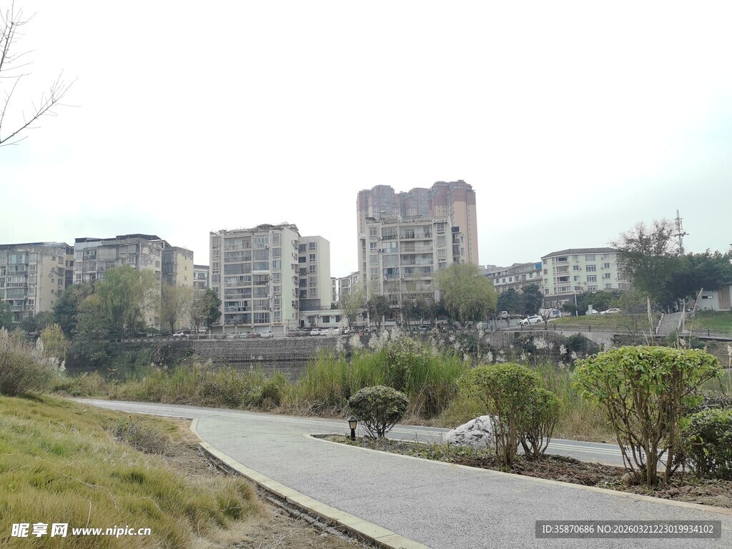 城郊住宅区旁的道路景观