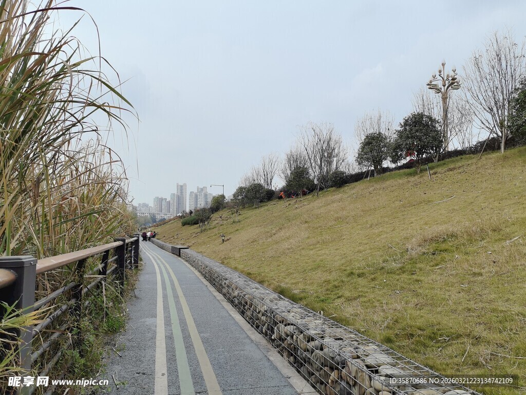 乡间小路宁静田园风光