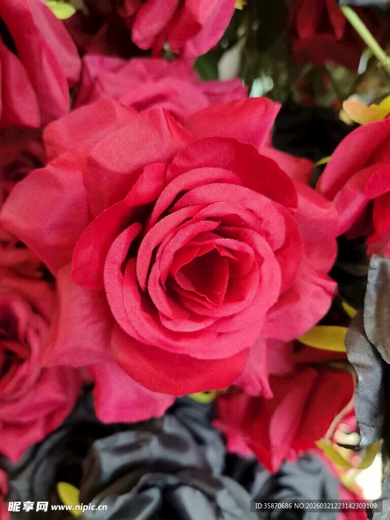 仿真娇艳红玫瑰绽放